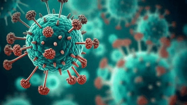 HMPV-Virus