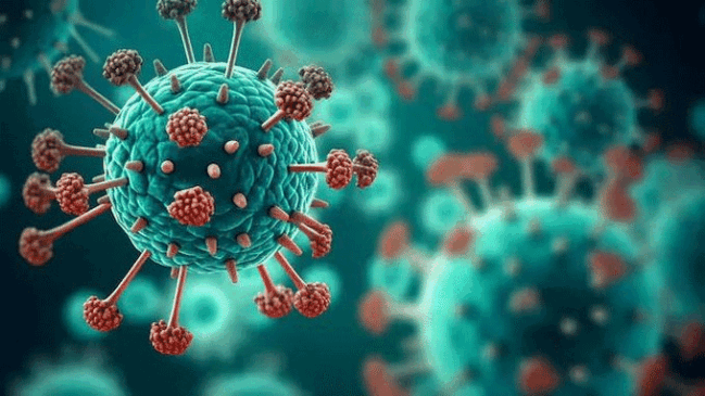 HMPV-Virus