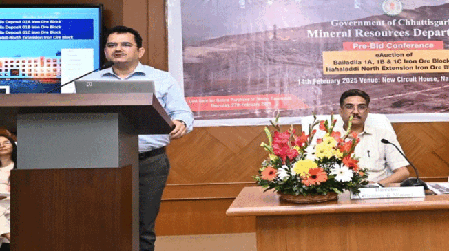 iron-ore-blocks-auction