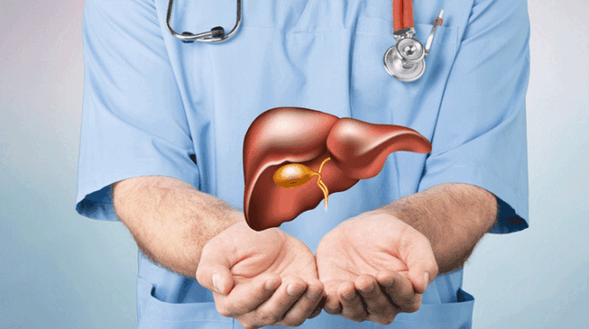 Fatty-Liver