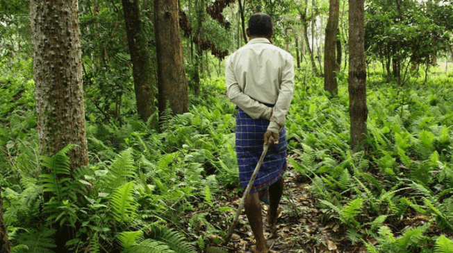 forest-rights