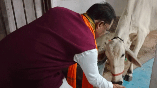 gau-seva