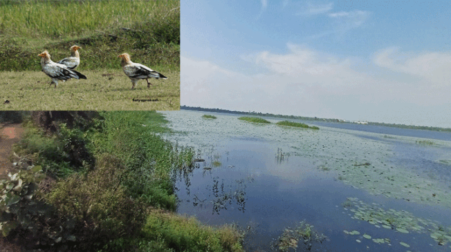 Kopra-Reservoir