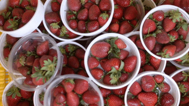Jashpur-Strawberry