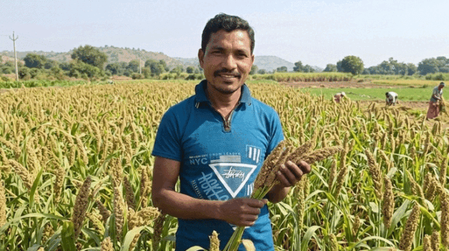 millets-(mota-anaj)