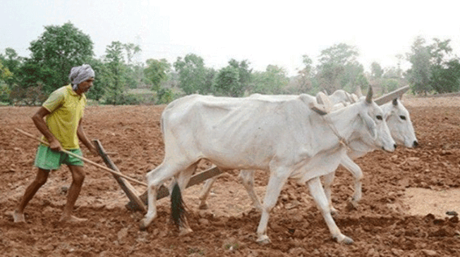 kheti-kisani